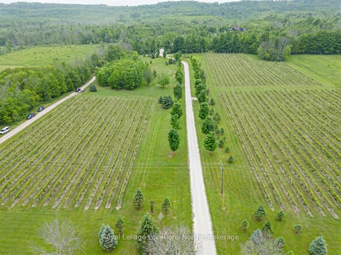 Photo 45 of 195718 Grey 7 Road, Grey Highlands — HOMEH