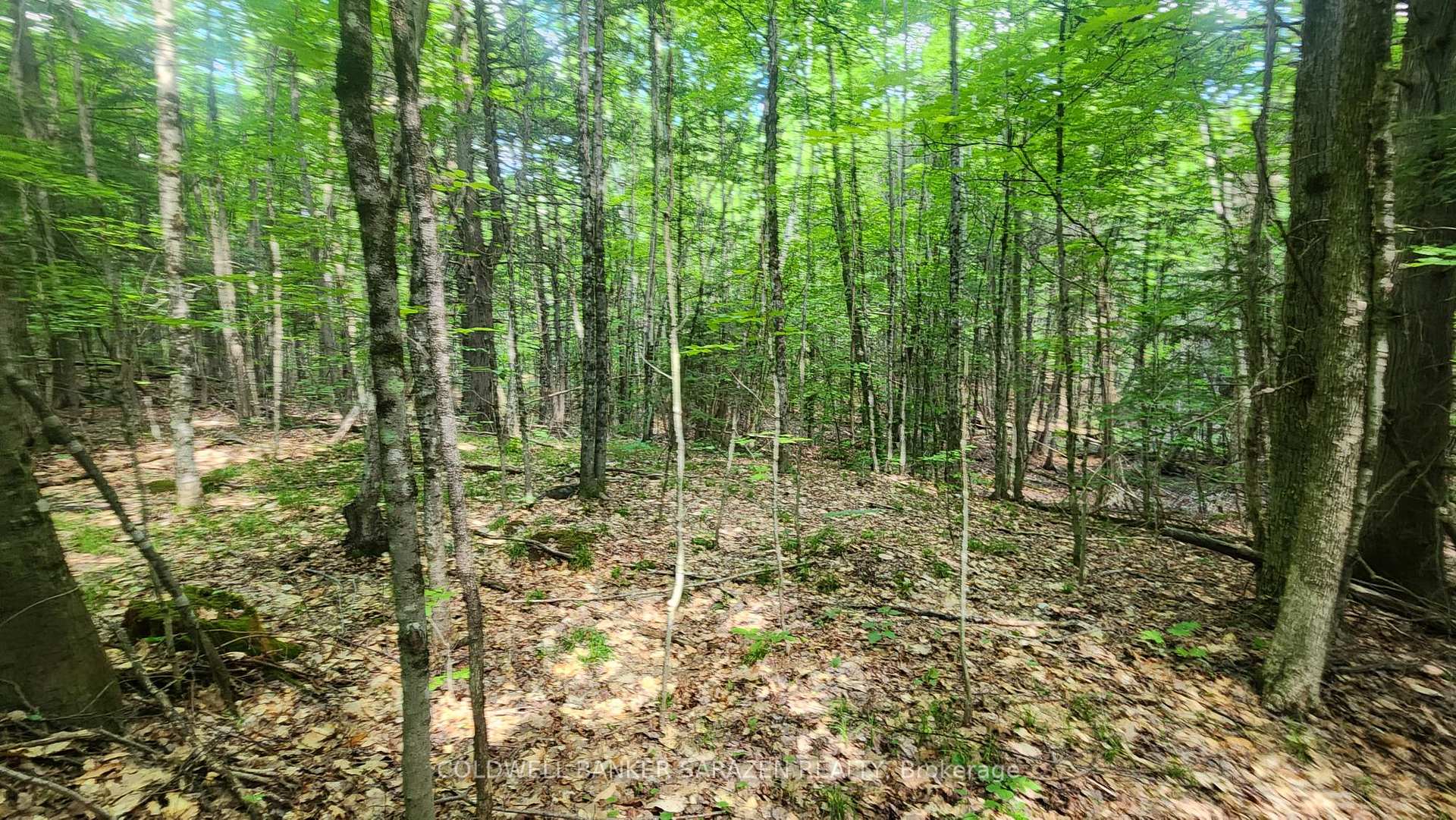 Photo of 00 Canaan Road