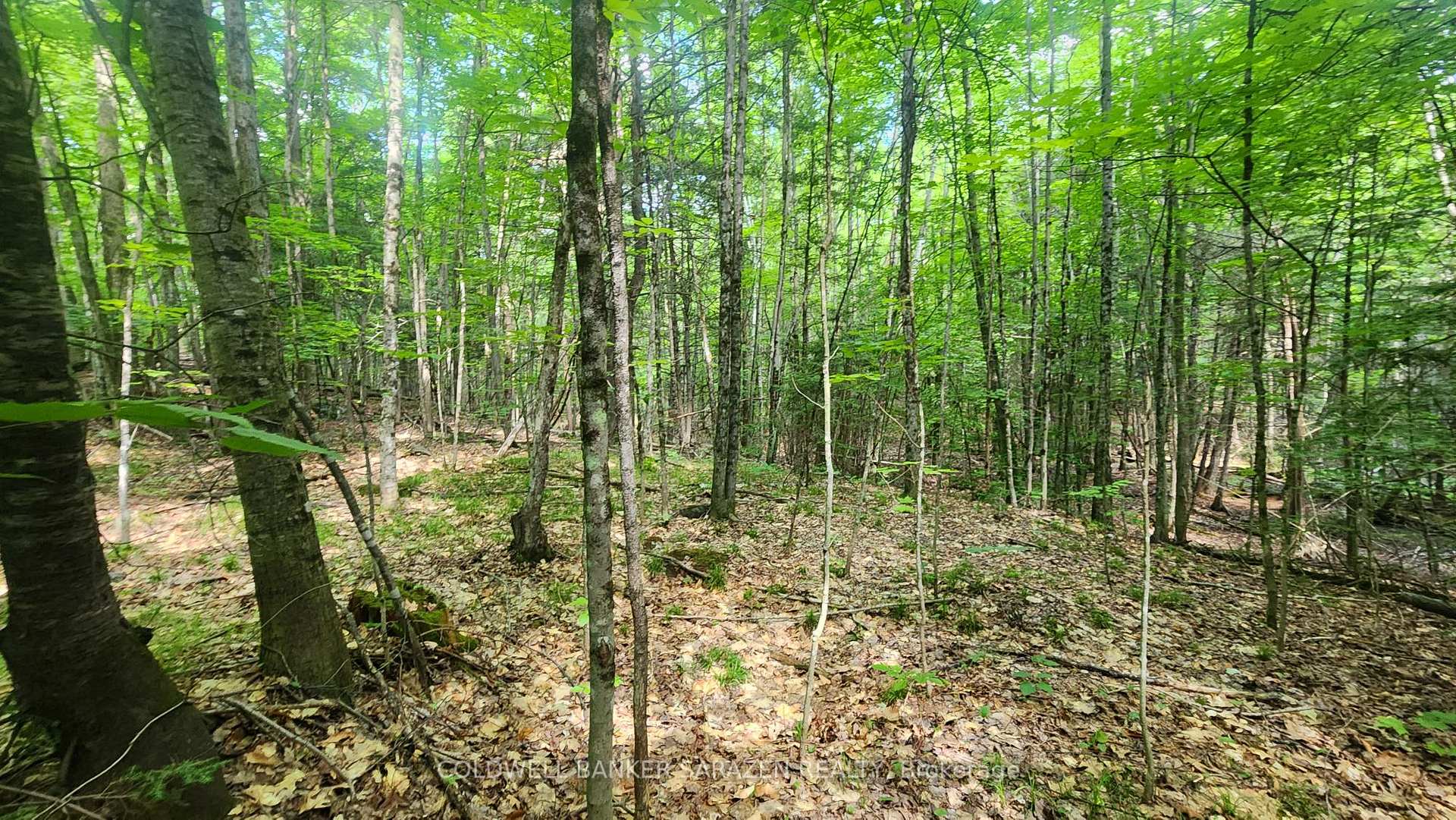Photo 2 of 00 Canaan Road, McNab/Braeside, Mcnab/Braeside Twps — HOMEH