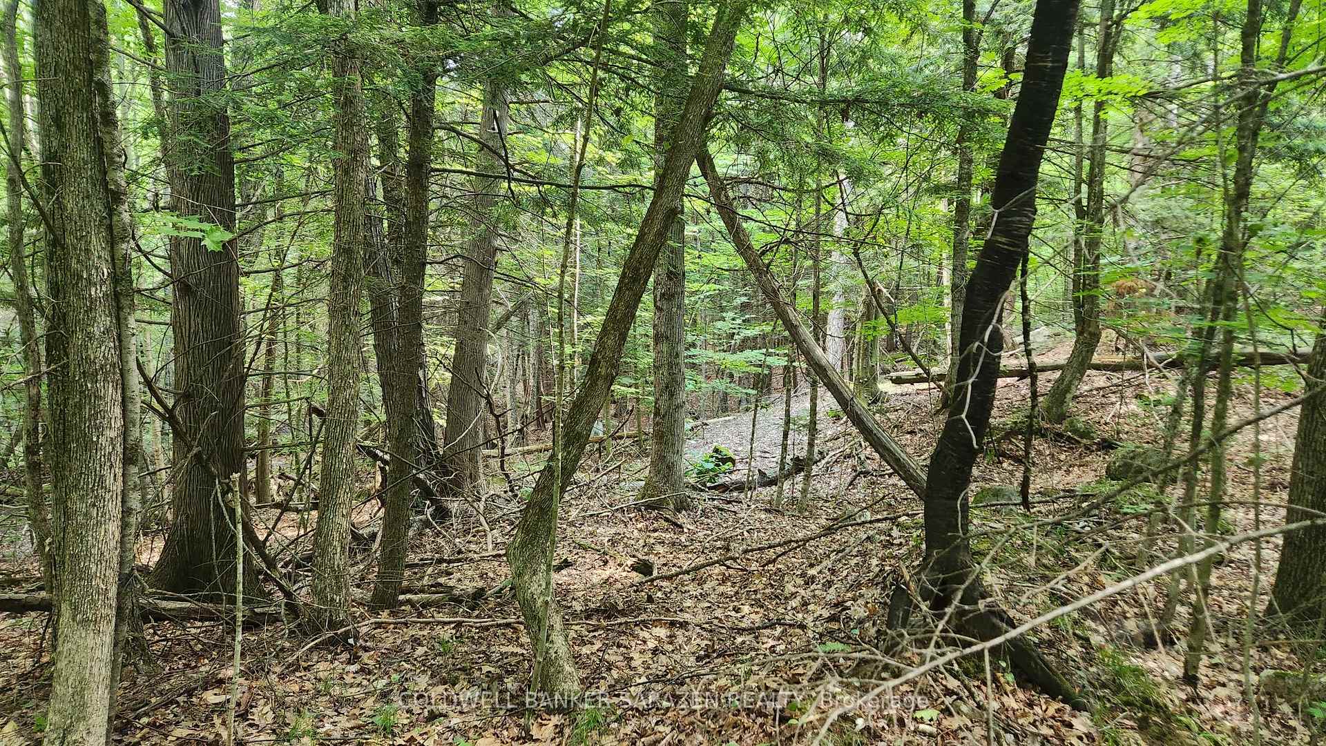Photo 3 of 00 Canaan Road, McNab/Braeside, Mcnab/Braeside Twps — HOMEH