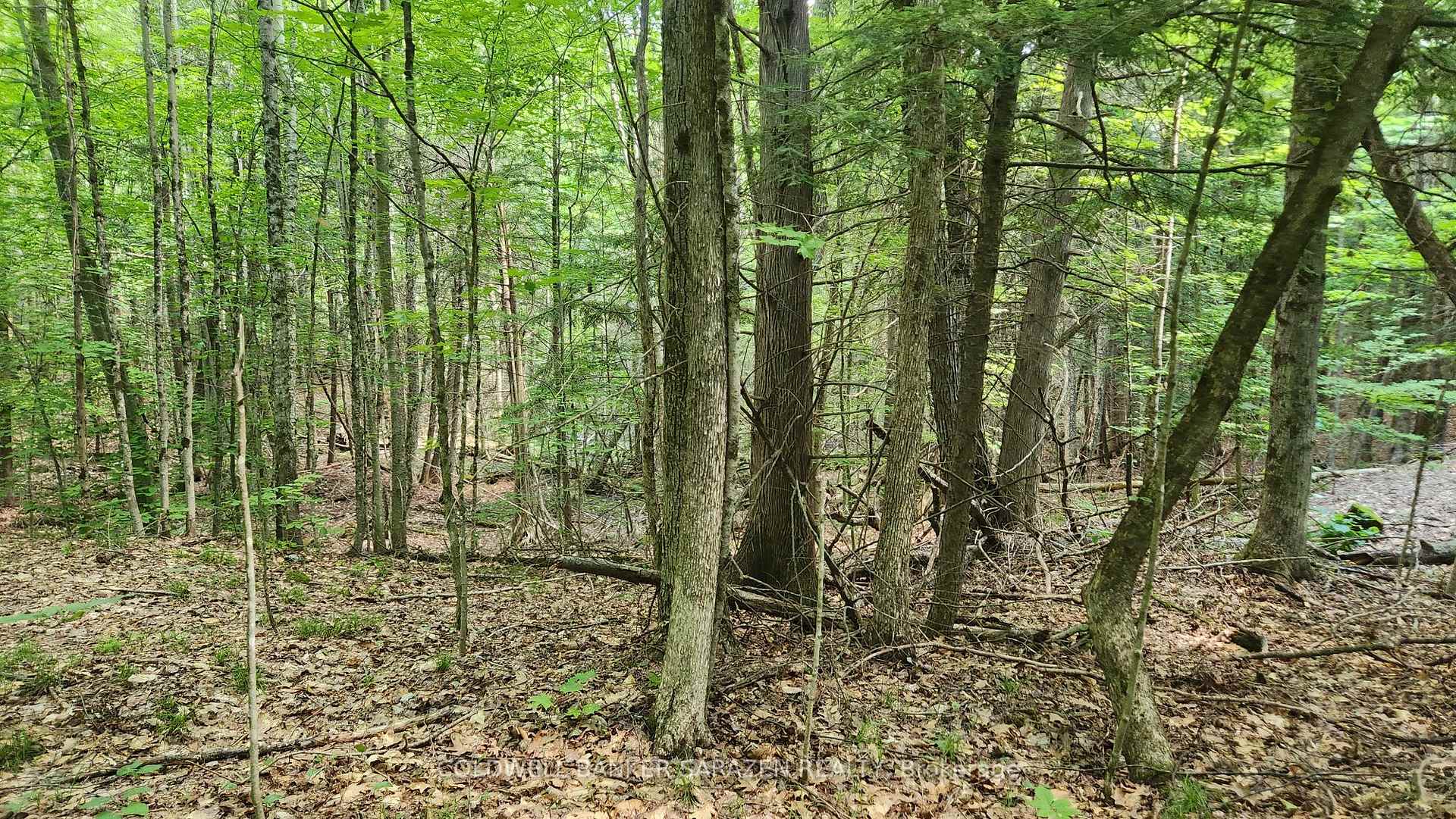 Photo 4 of 00 Canaan Road, McNab/Braeside, Mcnab/Braeside Twps — HOMEH
