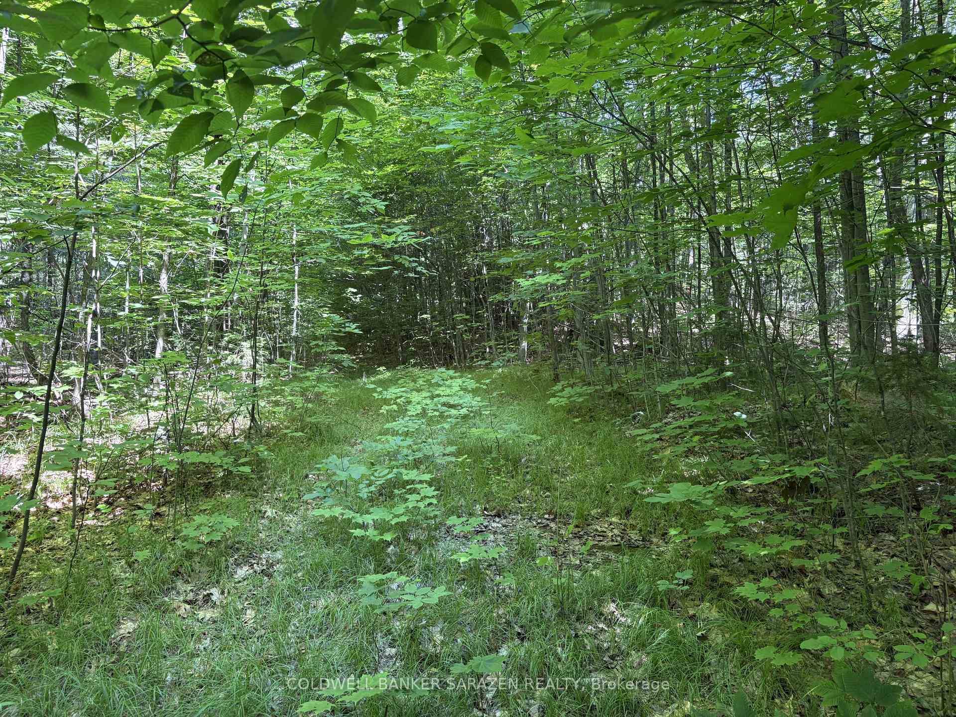 Photo 9 of 00 Canaan Road, McNab/Braeside, Mcnab/Braeside Twps — HOMEH