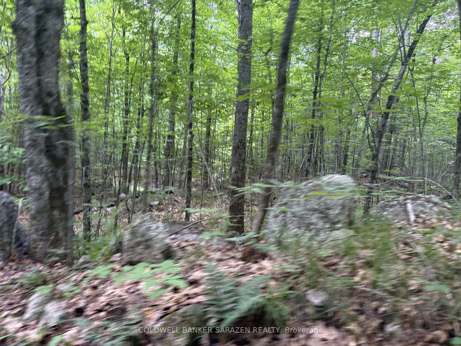 Photo 11 of 00 Canaan Road, McNab/Braeside, Mcnab/Braeside Twps — HOMEH