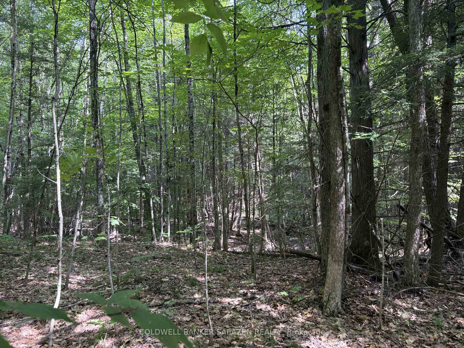Photo 13 of 00 Canaan Road, McNab/Braeside, Mcnab/Braeside Twps — HOMEH