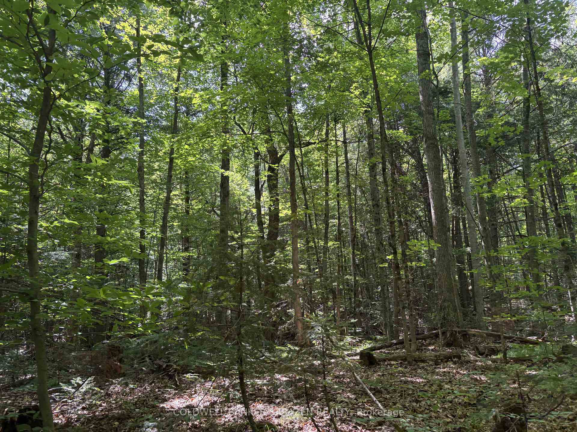Photo 14 of 00 Canaan Road, McNab/Braeside, Mcnab/Braeside Twps — HOMEH