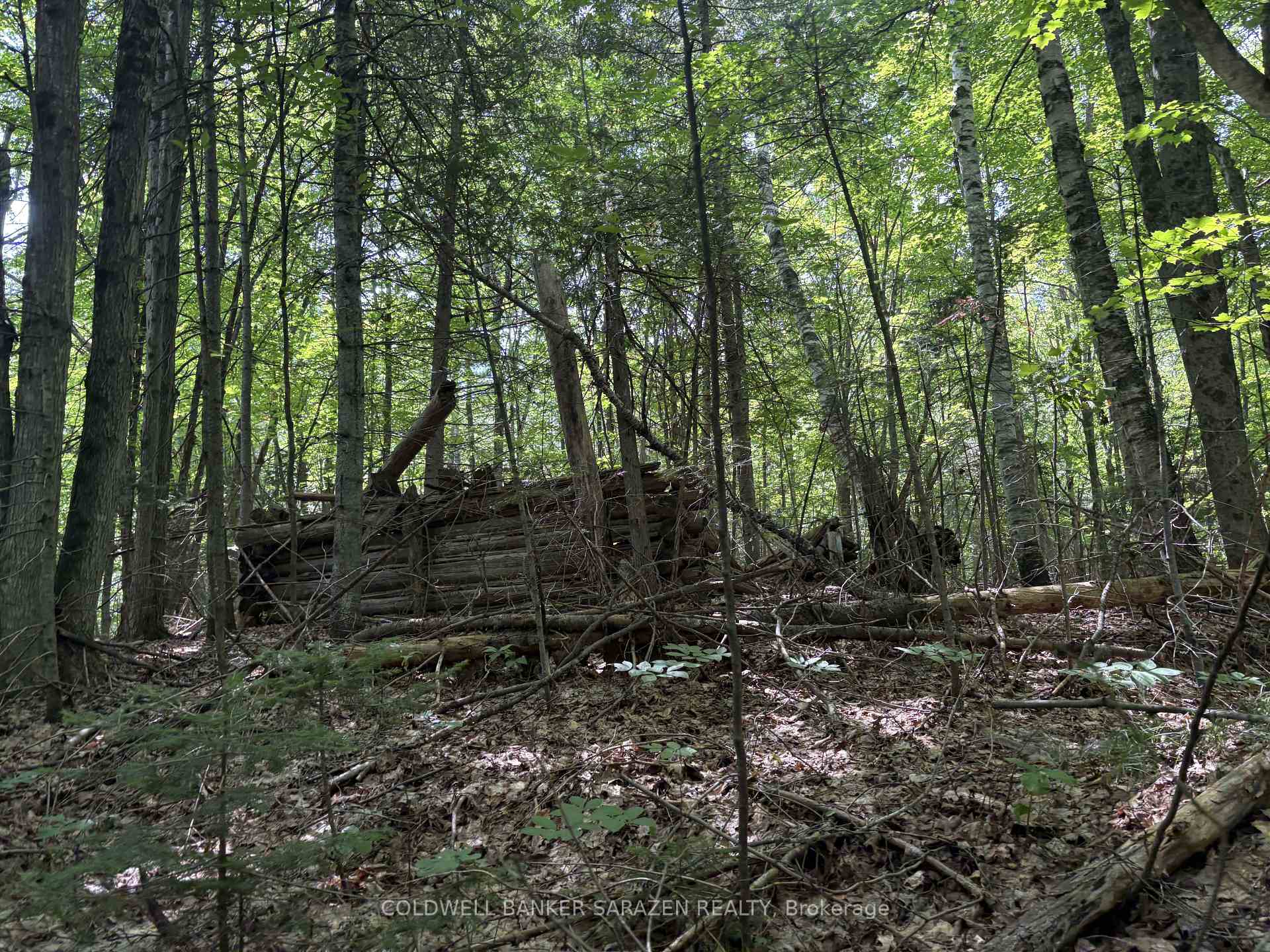Photo 15 of 00 Canaan Road, McNab/Braeside, Mcnab/Braeside Twps — HOMEH