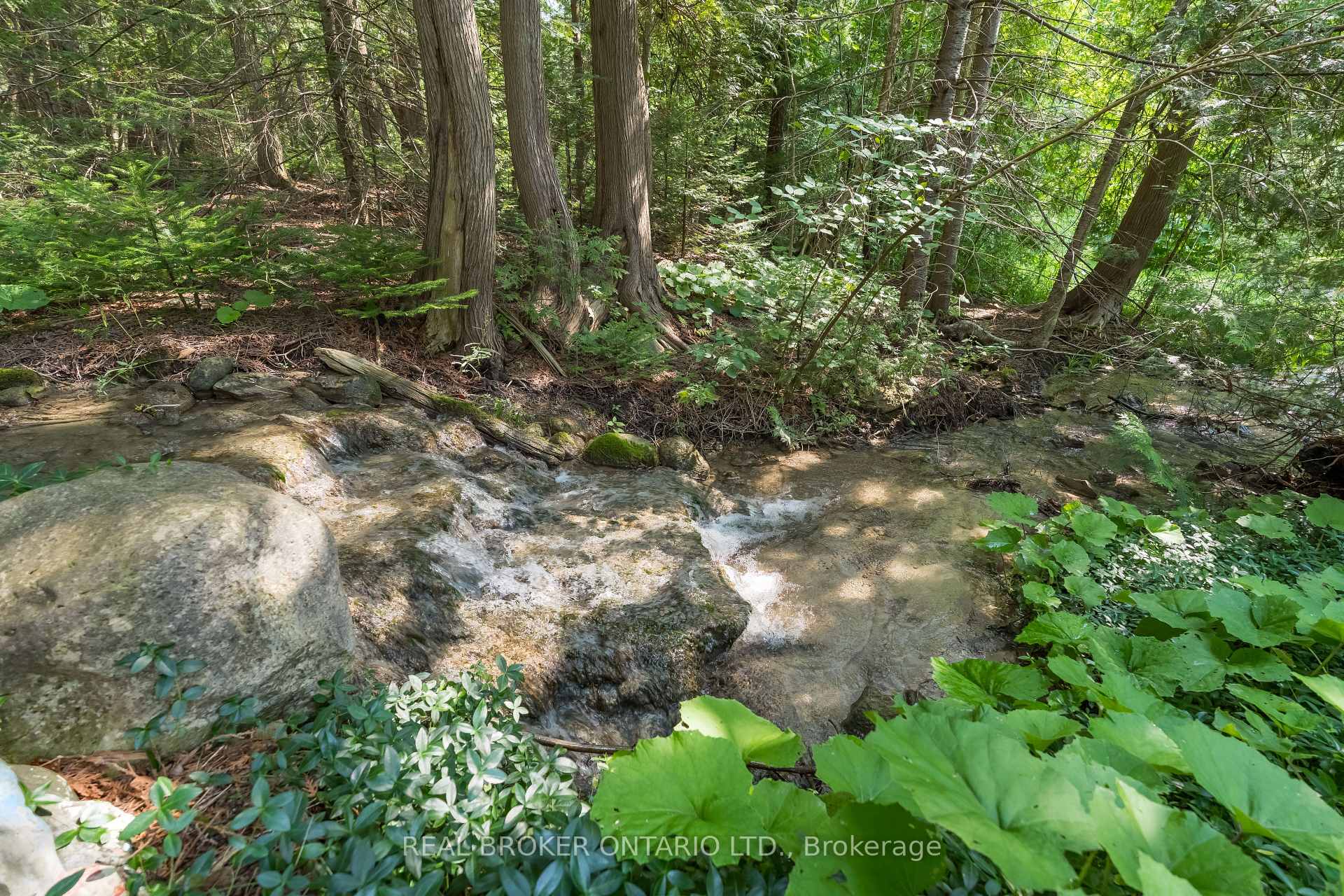 Photo of 30725 Hockley Road