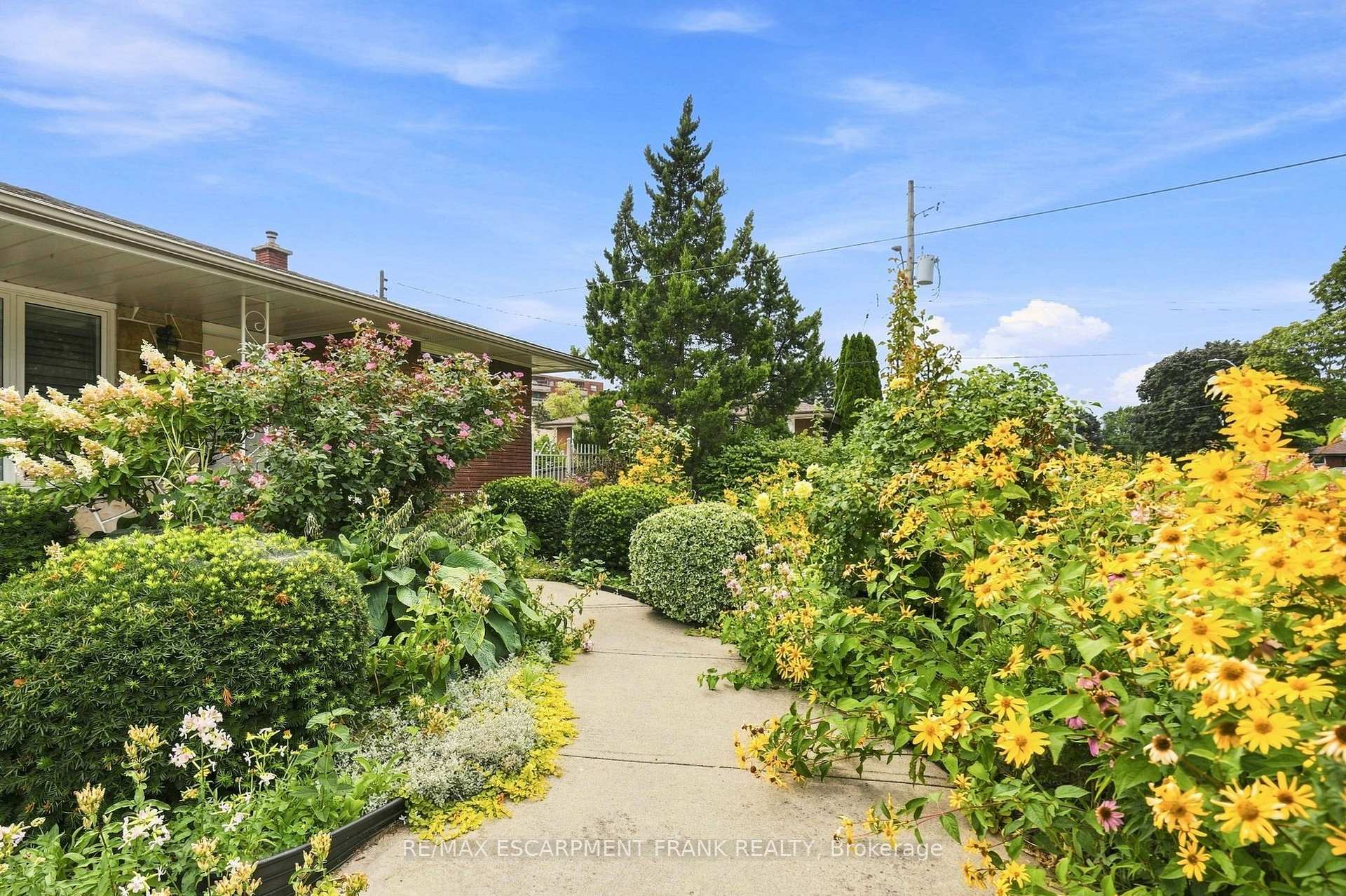 Photo 10 of 76 Orphir Road, Hamilton, Corman — HOMEH
