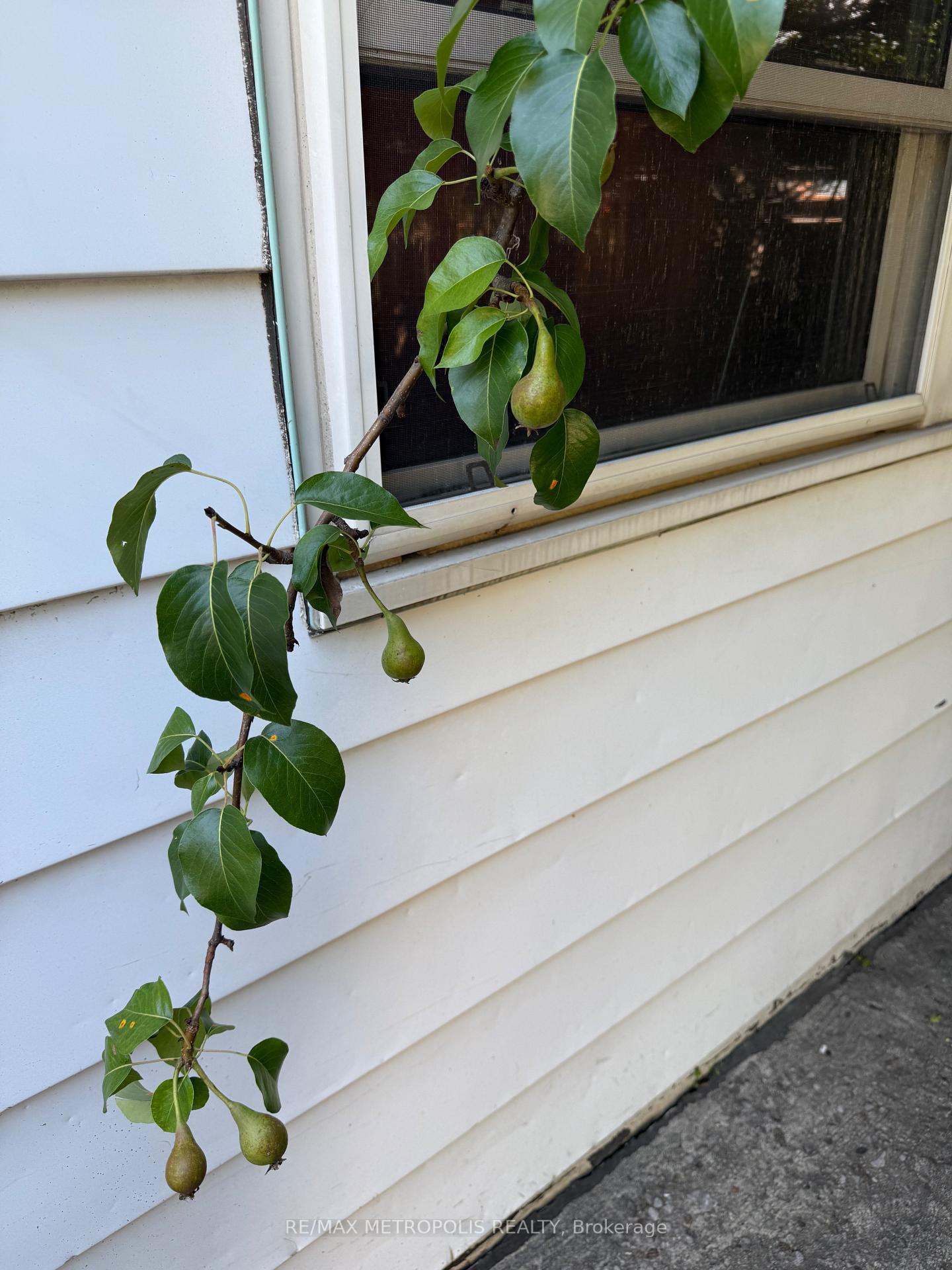 Photo 44 of 175 Celina Street, Oshawa, Central — HOMEH