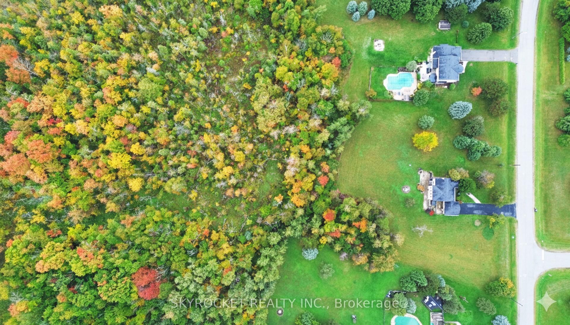 Photo 5 of 41 Elite Road, Caledon, Rural Caledon — HOMEH