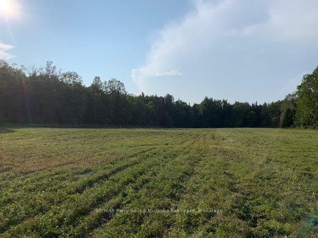 Photo 26 of 372 McDougall Road, McDougall — HOMEH