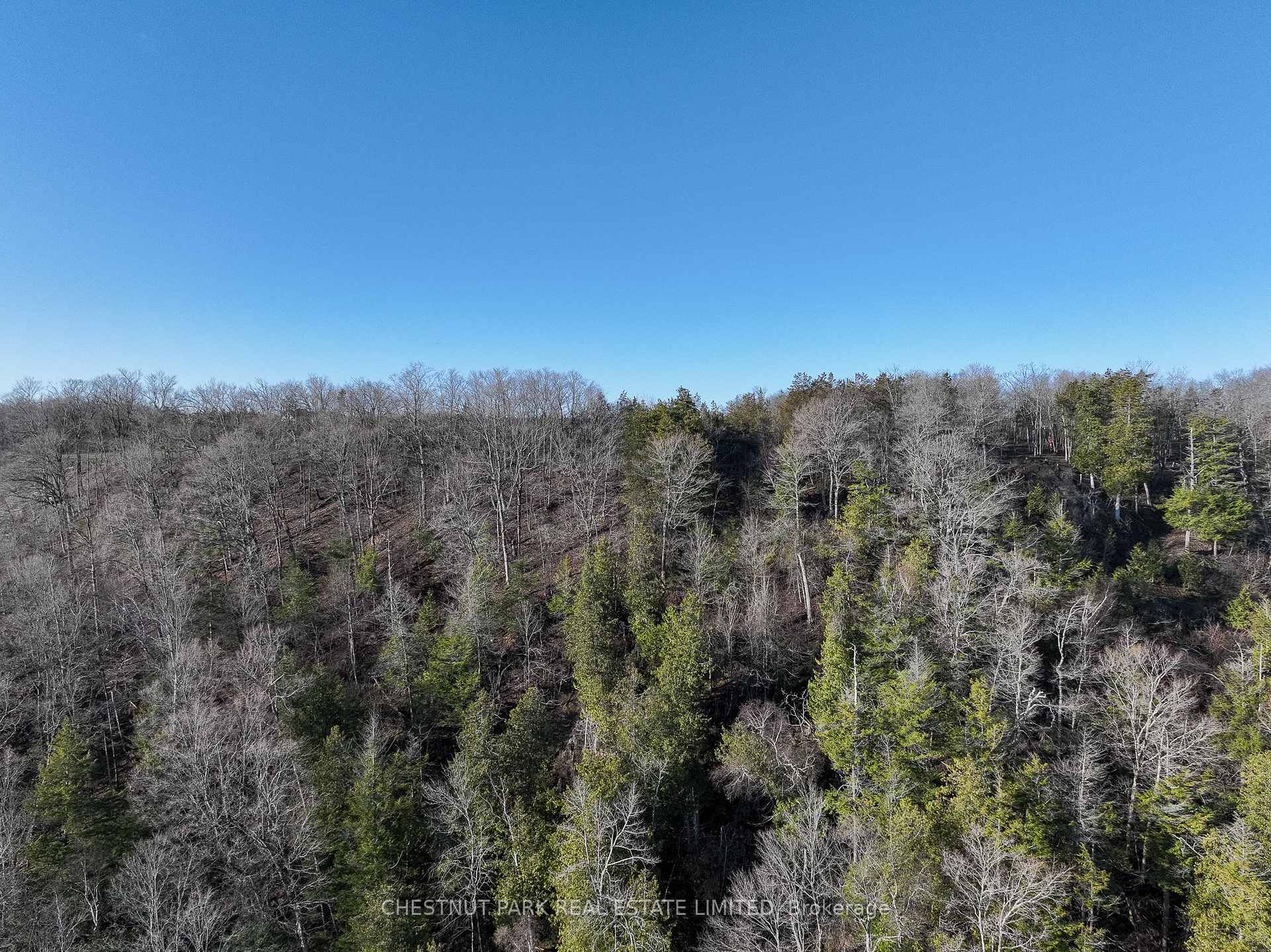 Photo 8 of 695 County Road 7, Prince Edward County, North Marysburg Ward — HOMEH