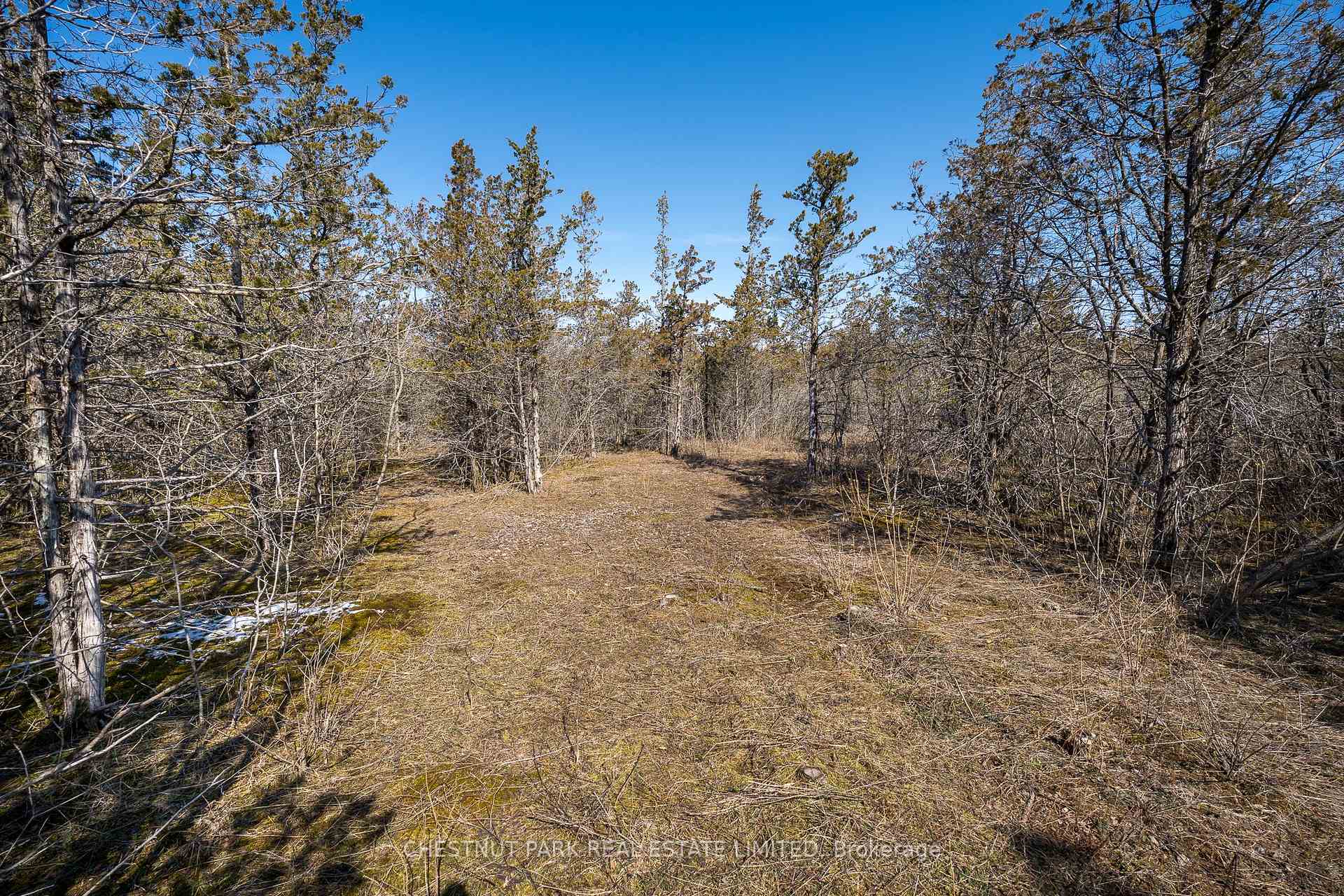 Photo 15 of 695 County Road 7, Prince Edward County, North Marysburg Ward — HOMEH