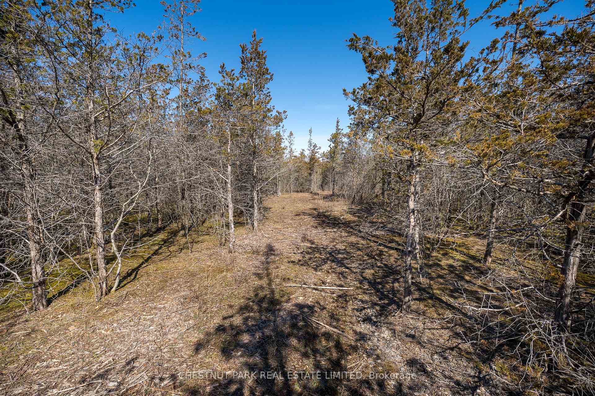 Photo 16 of 695 County Road 7, Prince Edward County, North Marysburg Ward — HOMEH