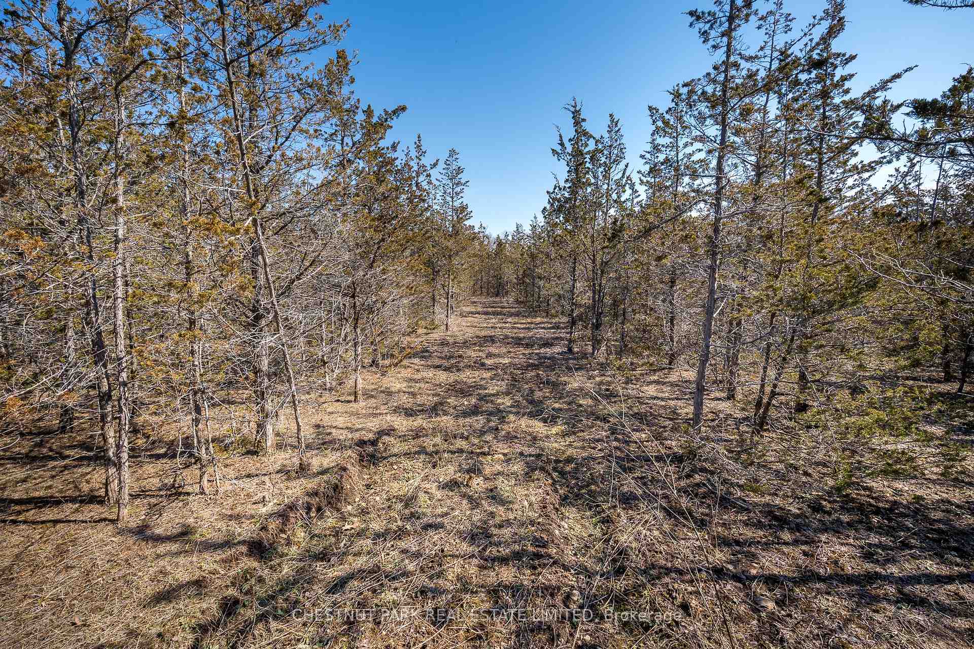 Photo 18 of 695 County Road 7, Prince Edward County, North Marysburg Ward — HOMEH