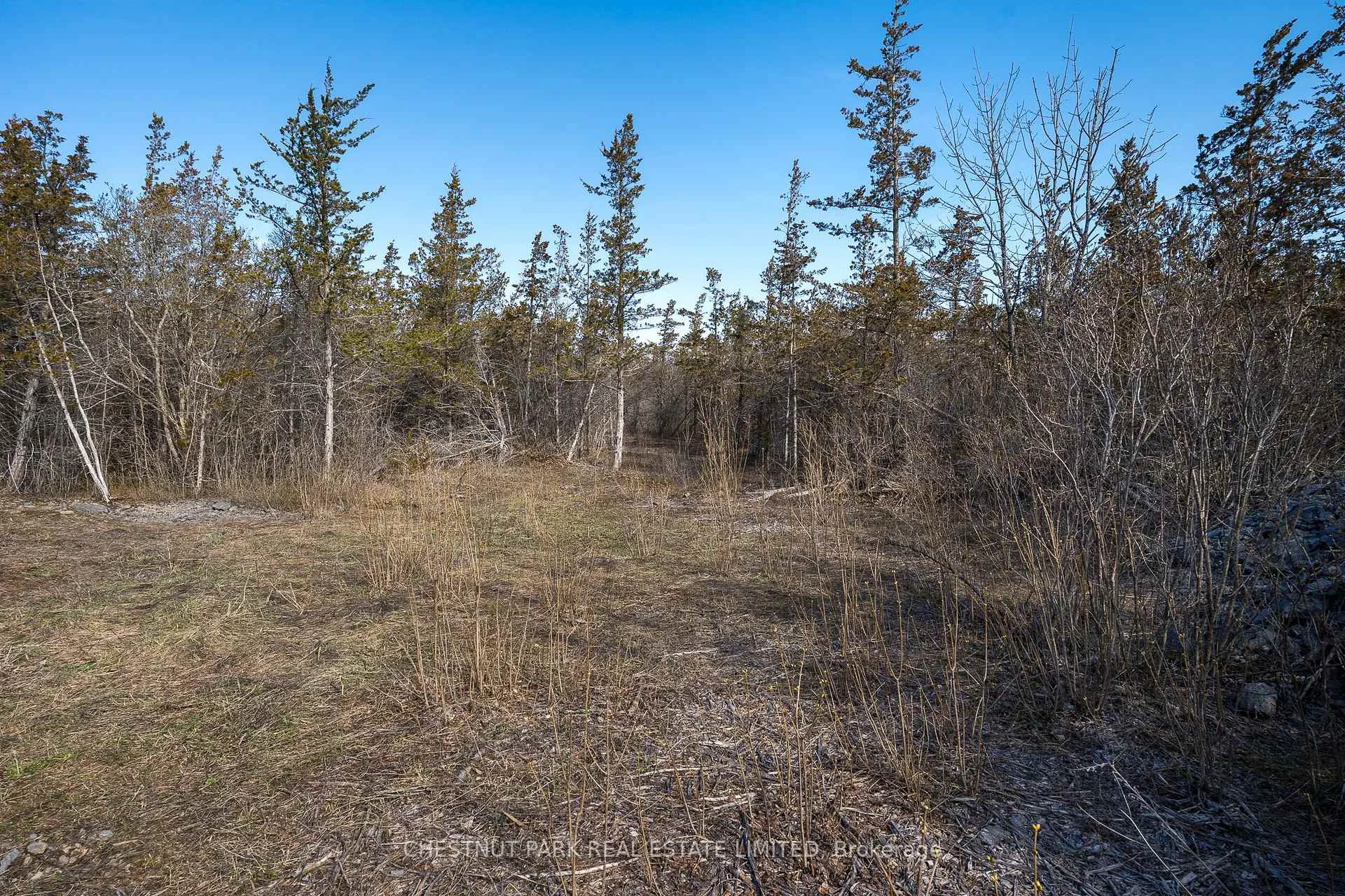 Photo 14 of 695 County Road 7, Prince Edward County, North Marysburg Ward — HOMEH