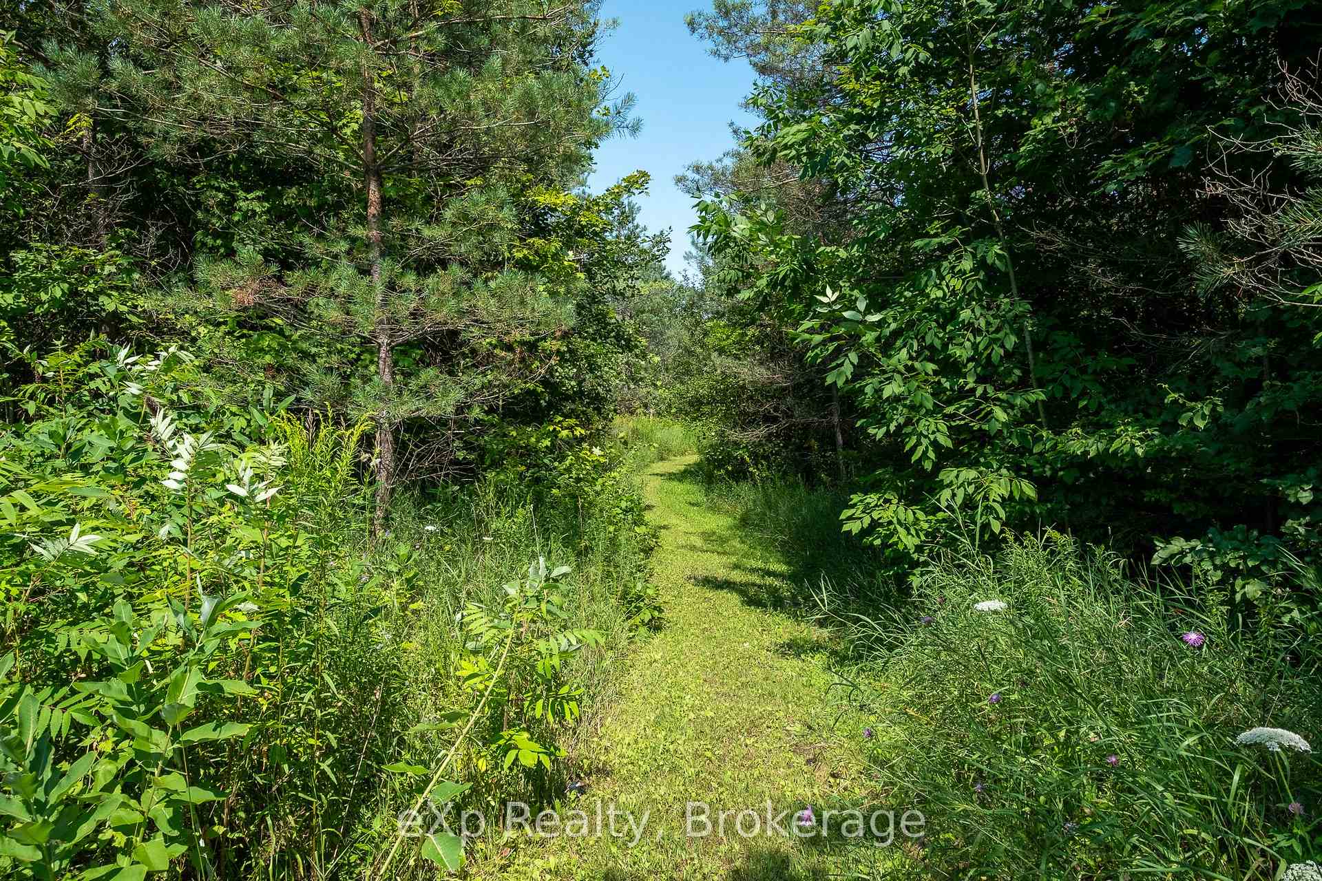 Photo 43 of 174745 Mulock Road, West Grey — HOMEH