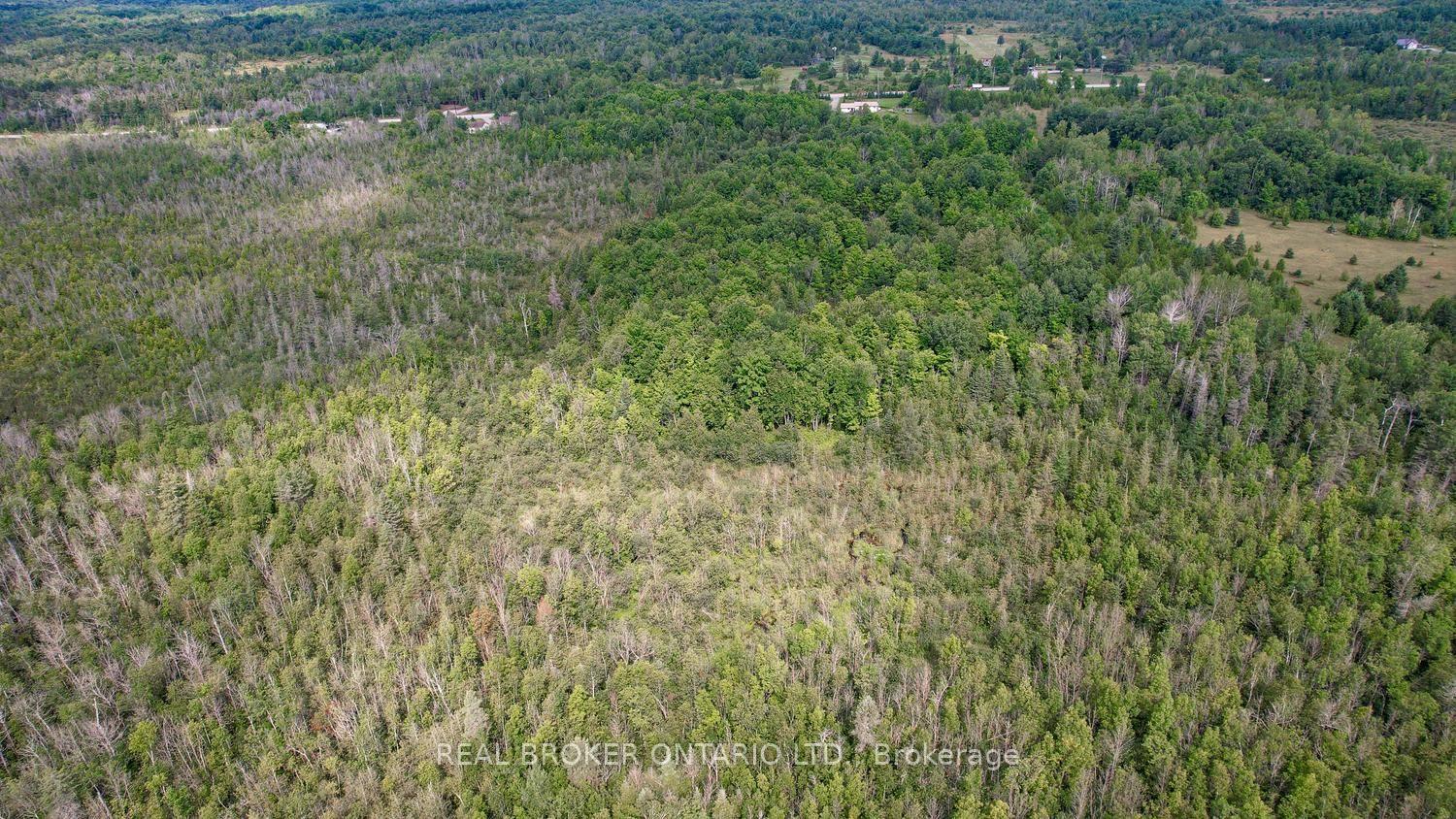 Photo 44 of 5397 Roger Stevens Drive, Montague, Montague Twp — HOMEH