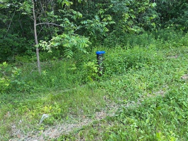 Photo 18 of 3530 Audley Road, Pickering, Rural Pickering — HOMEH