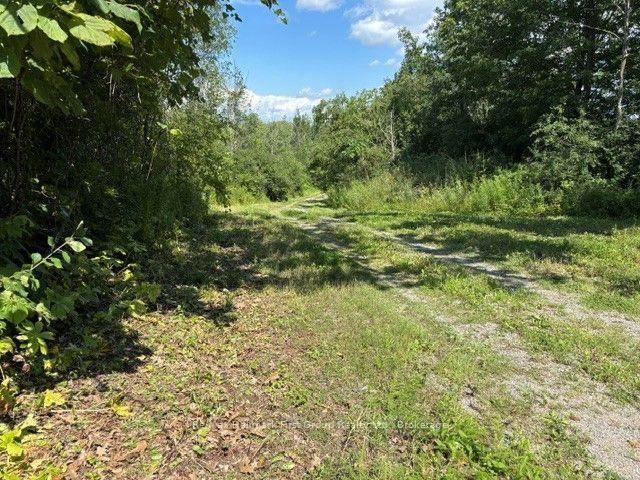 Photo 4 of 3530 Audley Road, Pickering, Rural Pickering — HOMEH