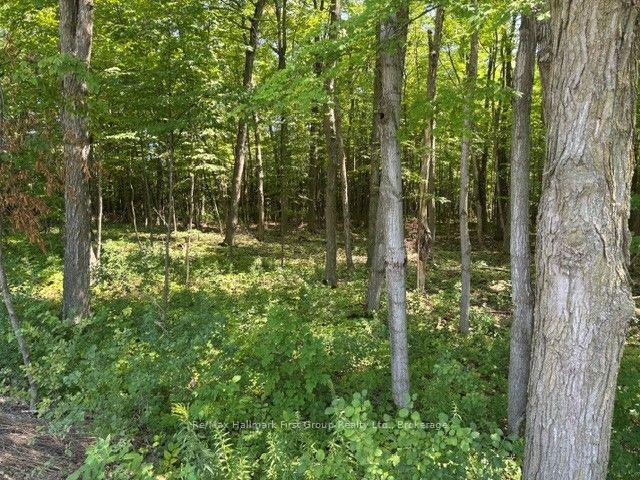 Photo 19 of 3530 Audley Road, Pickering, Rural Pickering — HOMEH