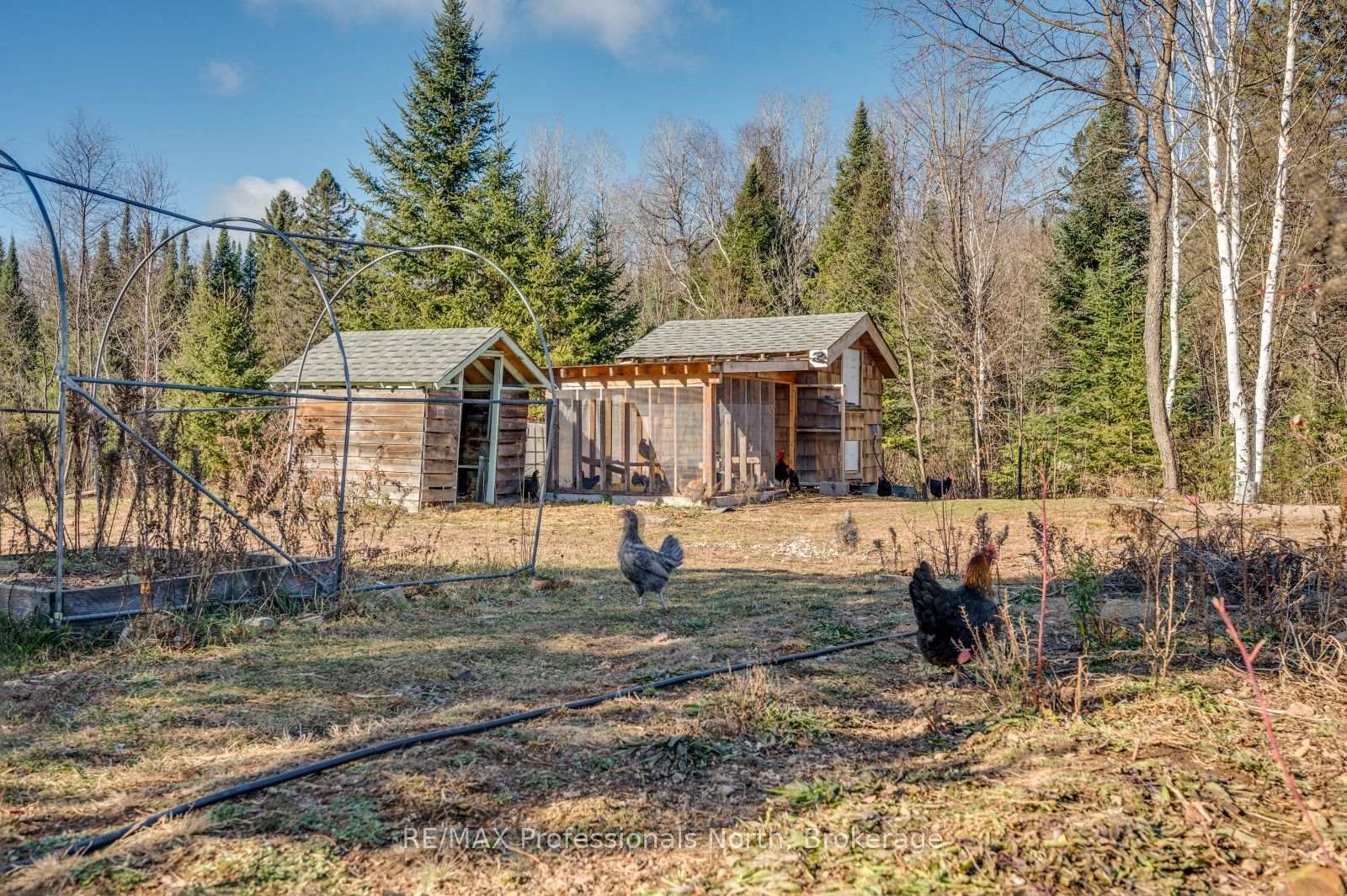 Photo 43 of 4167 Loop Road, Dysart et al, Harcourt — HOMEH