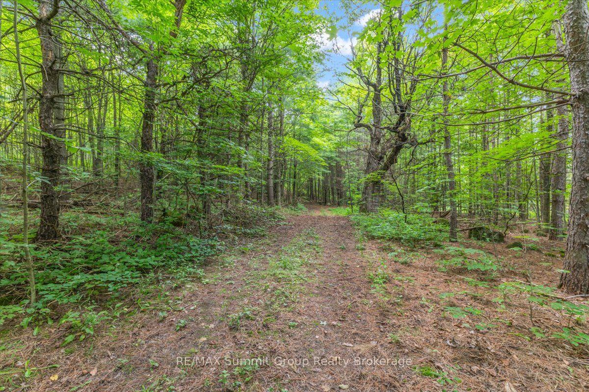Photo 14 of 467027 12th Concession B, Grey Highlands — HOMEH