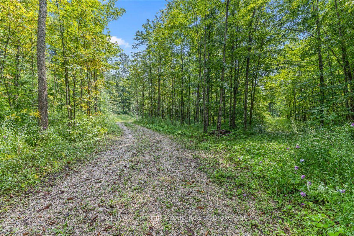 Photo of PT LT 4 Concession Road 8