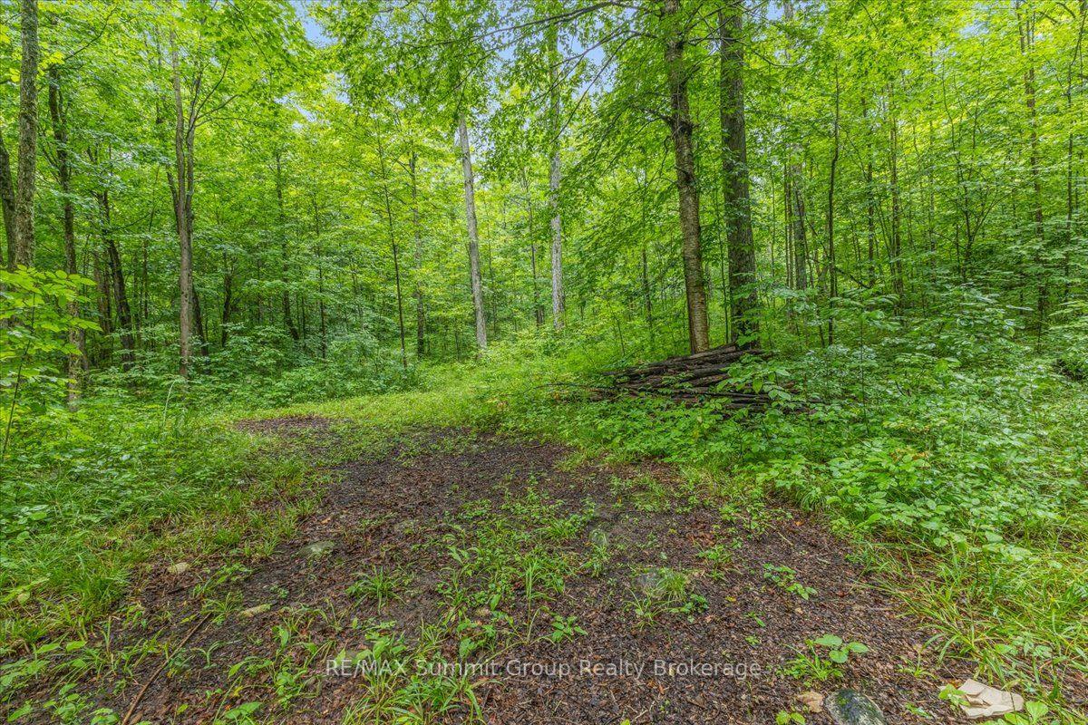 Photo 4 of PT LT 4 Concession Road 8, West Grey — HOMEH