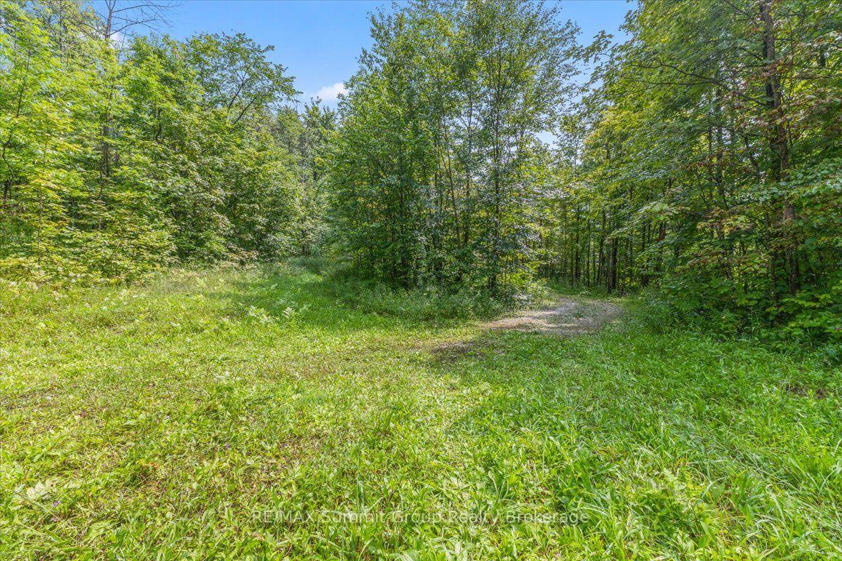 Photo 6 of PT LT 4 Concession Road 8, West Grey — HOMEH