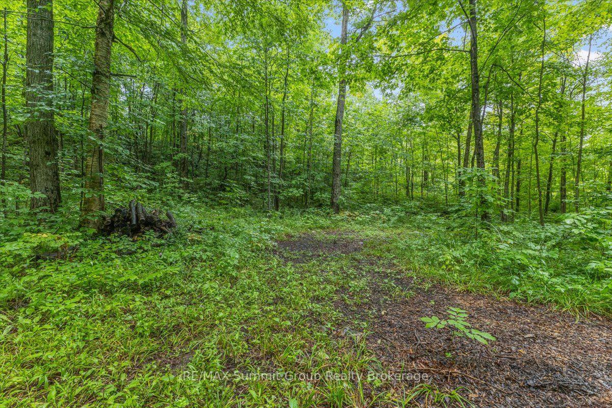 Photo 7 of PT LT 4 Concession Road 8, West Grey — HOMEH