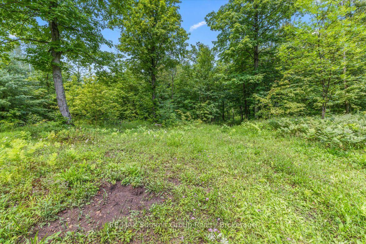 Photo 8 of PT LT 4 Concession Road 8, West Grey — HOMEH
