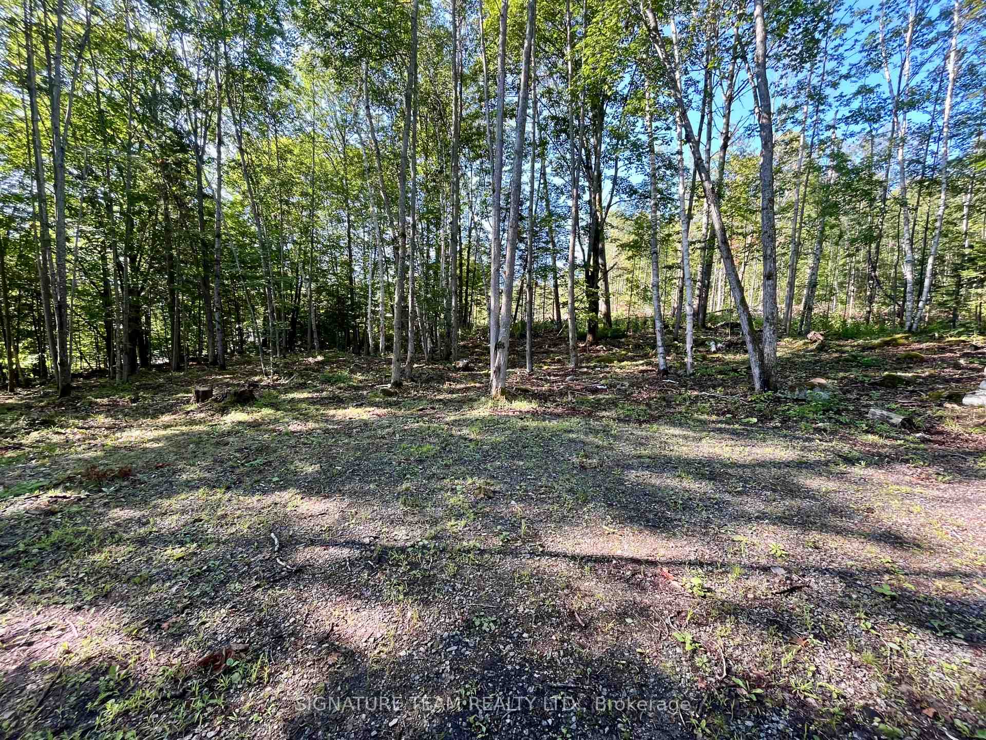 Photo 8 of 644 Mitchell Road, Madawaska Valley, Madawaska Valley — HOMEH
