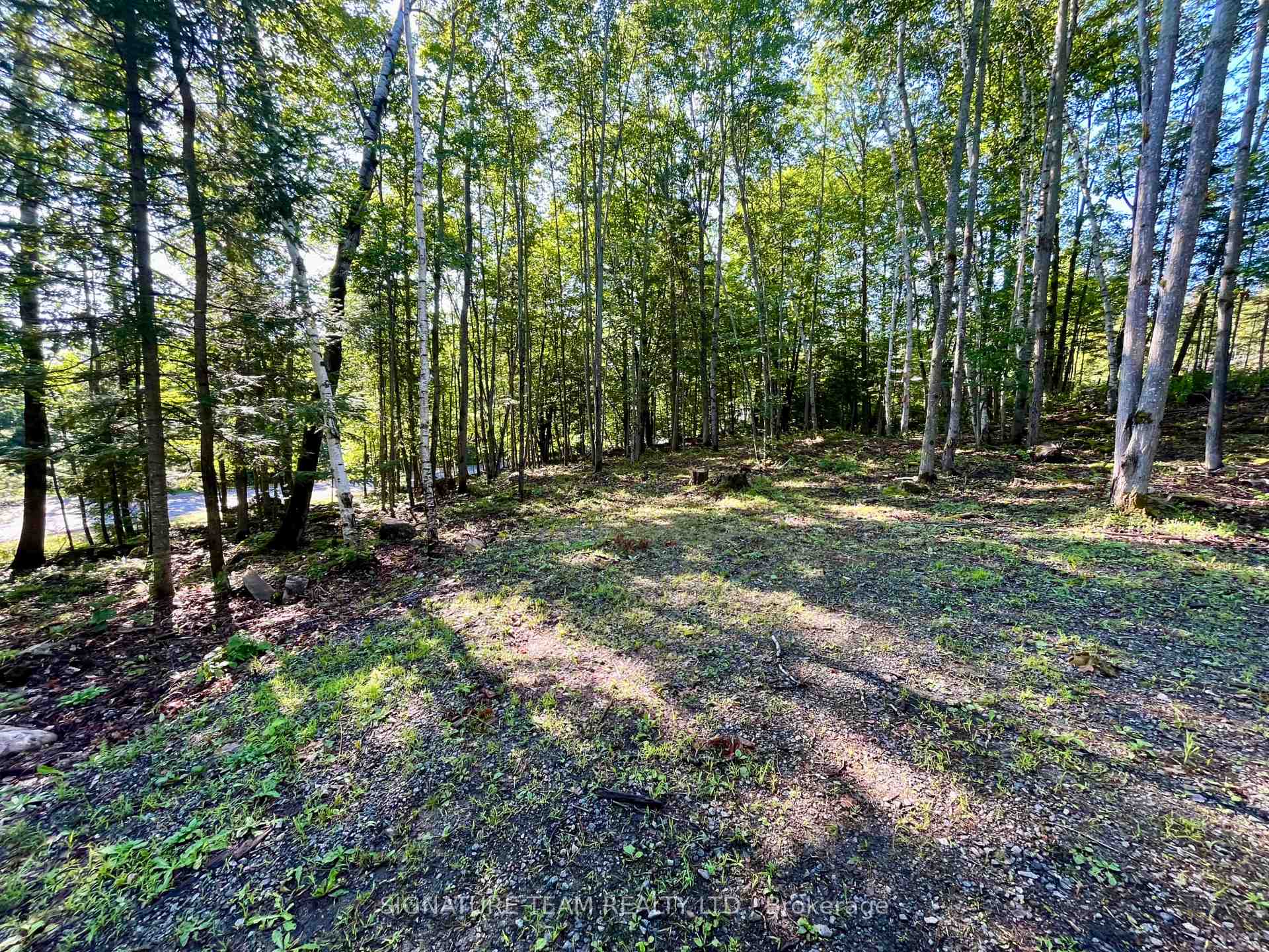 Photo 9 of 644 Mitchell Road, Madawaska Valley, Madawaska Valley — HOMEH