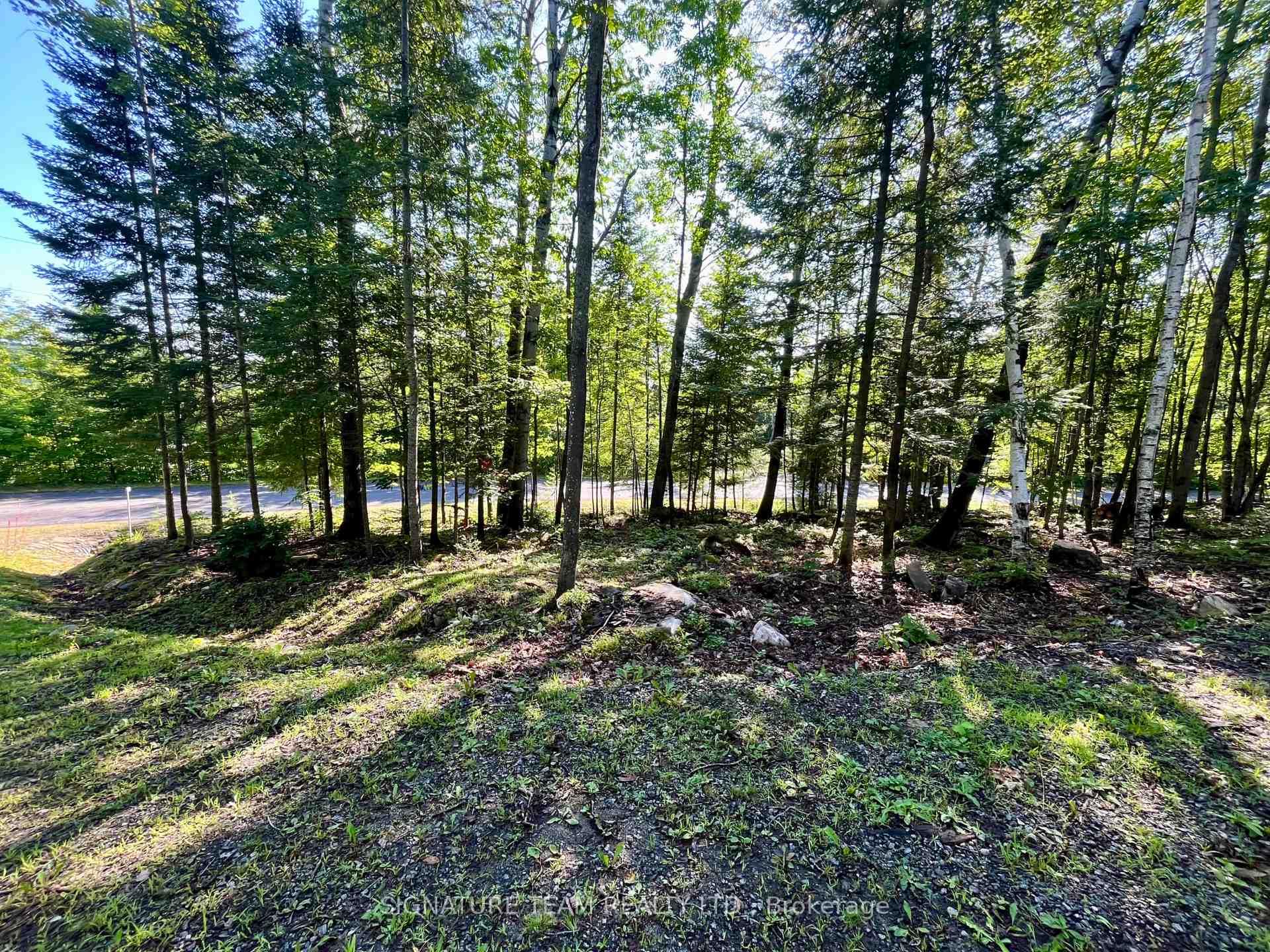 Photo 10 of 644 Mitchell Road, Madawaska Valley, Madawaska Valley — HOMEH