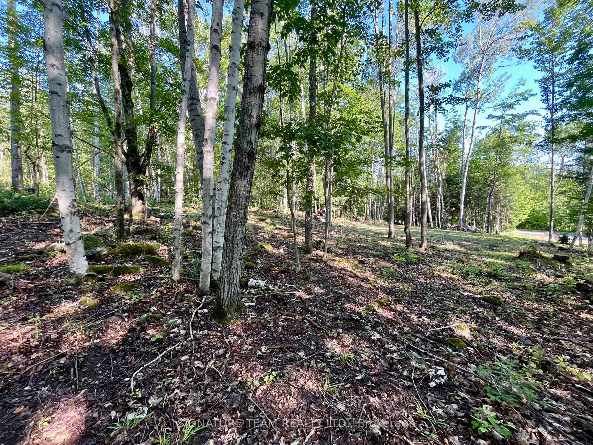Photo 12 of 644 Mitchell Road, Madawaska Valley, Madawaska Valley — HOMEH