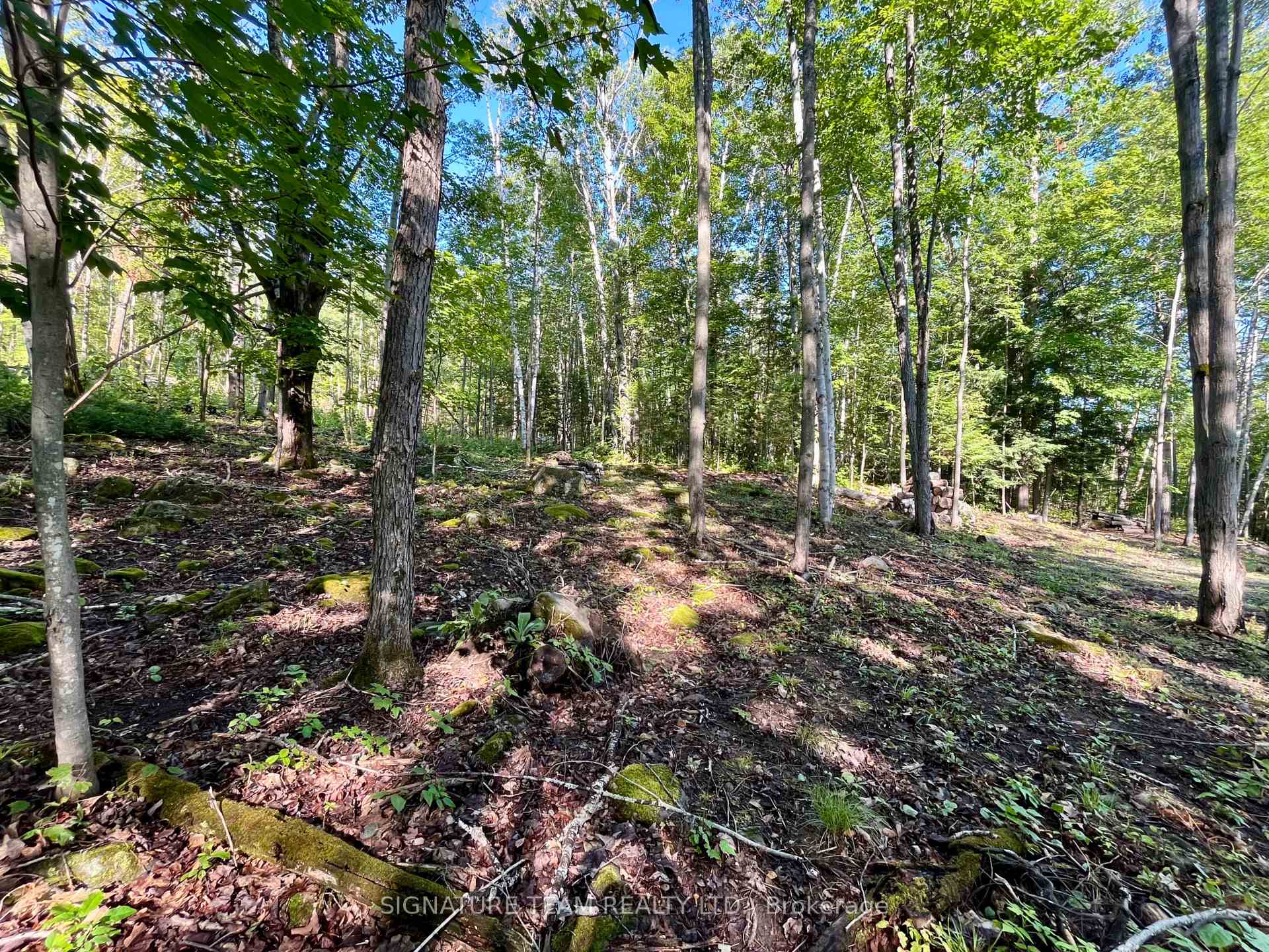 Photo 13 of 644 Mitchell Road, Madawaska Valley, Madawaska Valley — HOMEH
