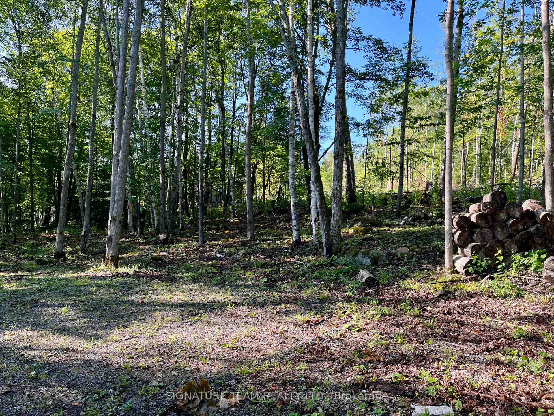 Photo 15 of 644 Mitchell Road, Madawaska Valley, Madawaska Valley — HOMEH