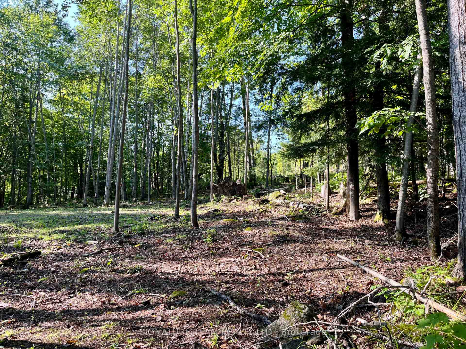 Photo 18 of 644 Mitchell Road, Madawaska Valley, Madawaska Valley — HOMEH