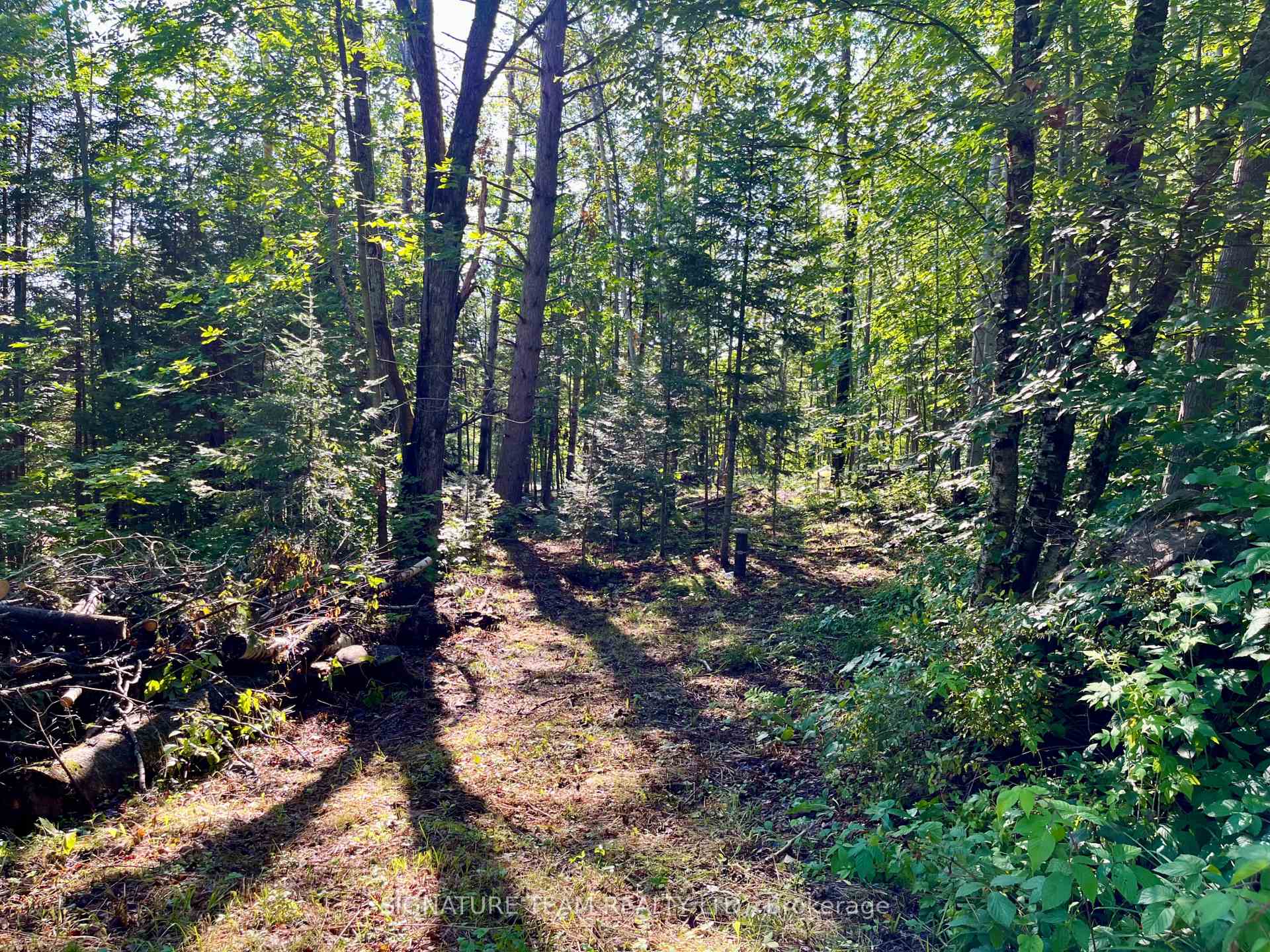 Photo 19 of 644 Mitchell Road, Madawaska Valley, Madawaska Valley — HOMEH