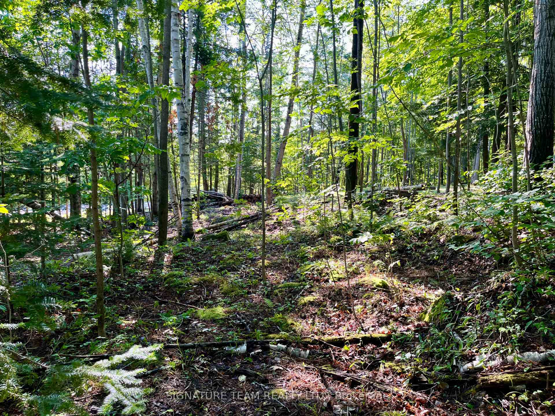 Photo 20 of 644 Mitchell Road, Madawaska Valley, Madawaska Valley — HOMEH