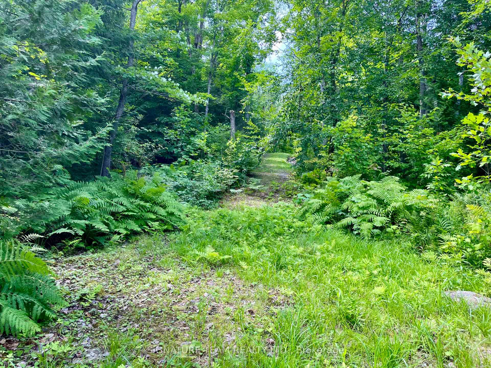 Photo 24 of 644 Mitchell Road, Madawaska Valley, Madawaska Valley — HOMEH