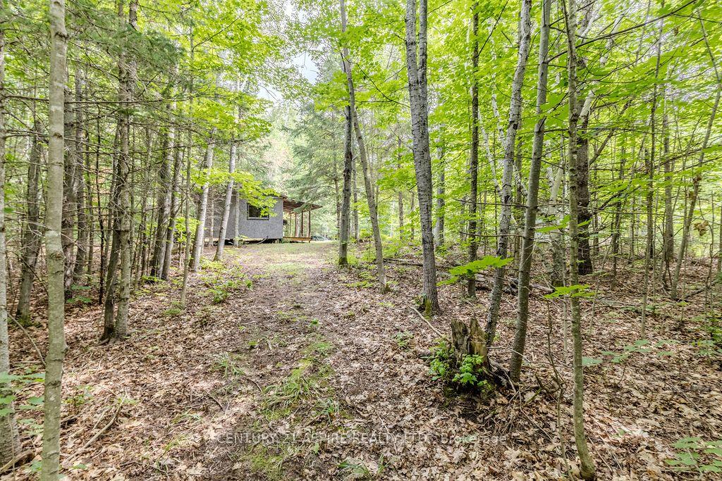 Photo 5 of 00 O'Brien Road, Bonnechere Valley, Eganville/Bonnechere Twp — HOMEH