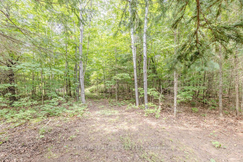 Photo 7 of 00 O'Brien Road, Bonnechere Valley, Eganville/Bonnechere Twp — HOMEH