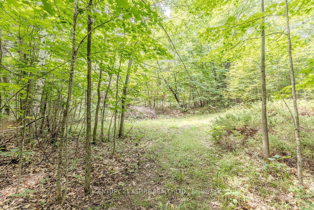 Photo 8 of 00 O'Brien Road, Bonnechere Valley, Eganville/Bonnechere Twp — HOMEH