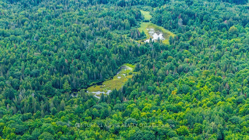 Photo 19 of 00 O'Brien Road, Bonnechere Valley, Eganville/Bonnechere Twp — HOMEH