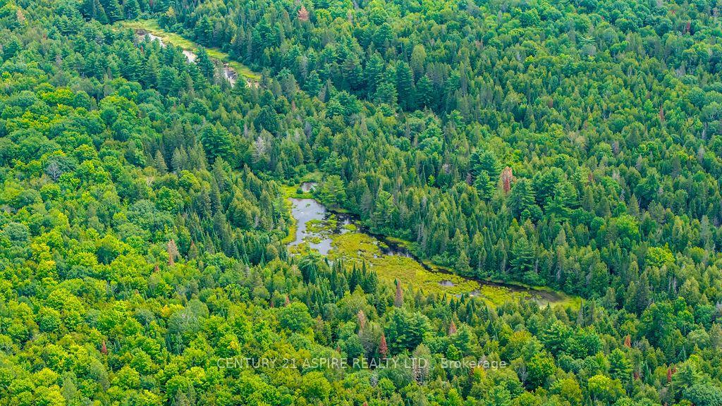 Photo 20 of 00 O'Brien Road, Bonnechere Valley, Eganville/Bonnechere Twp — HOMEH