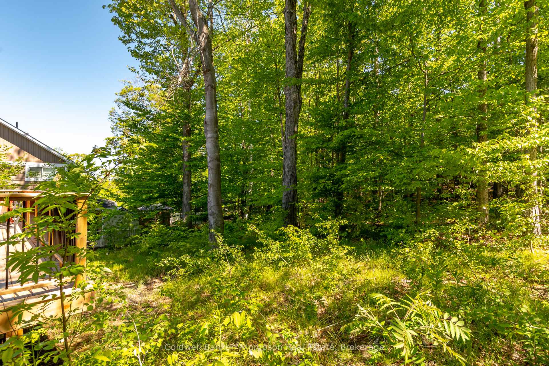 Photo 38 of 14 Mackenzie Drive, Huntsville — HOMEH