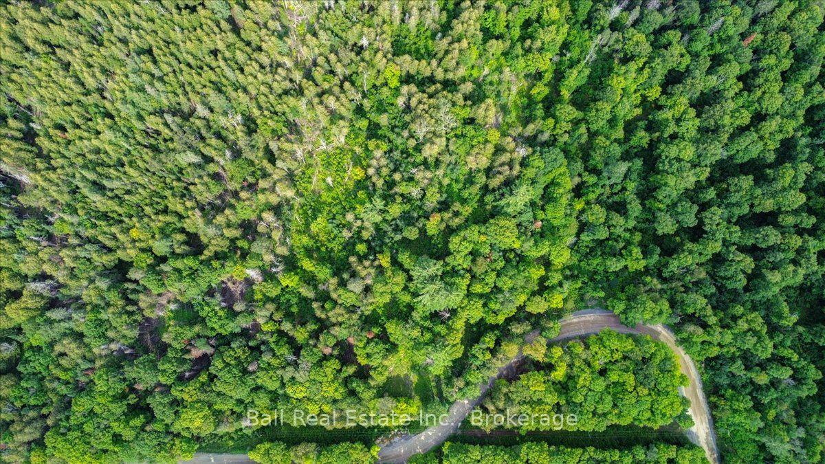Photo 6 of 390 St Ola Road, Limerick — HOMEH