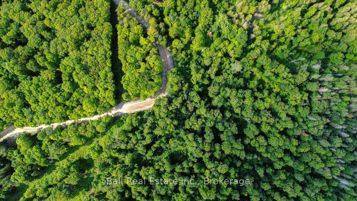 Photo 10 of 390 St Ola Road, Limerick — HOMEH